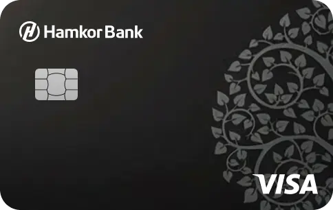 Visa Platinum