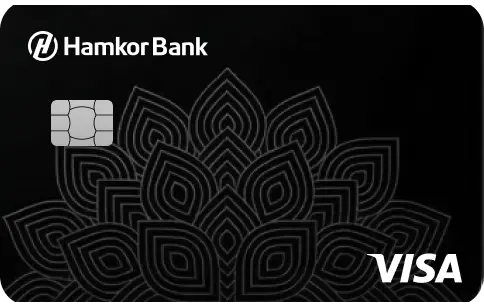 Visa Virtual
