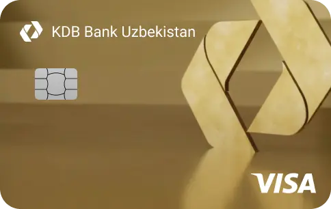 Visa Gold Euro Exchange