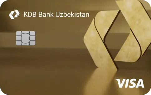 Visa Gold Euro